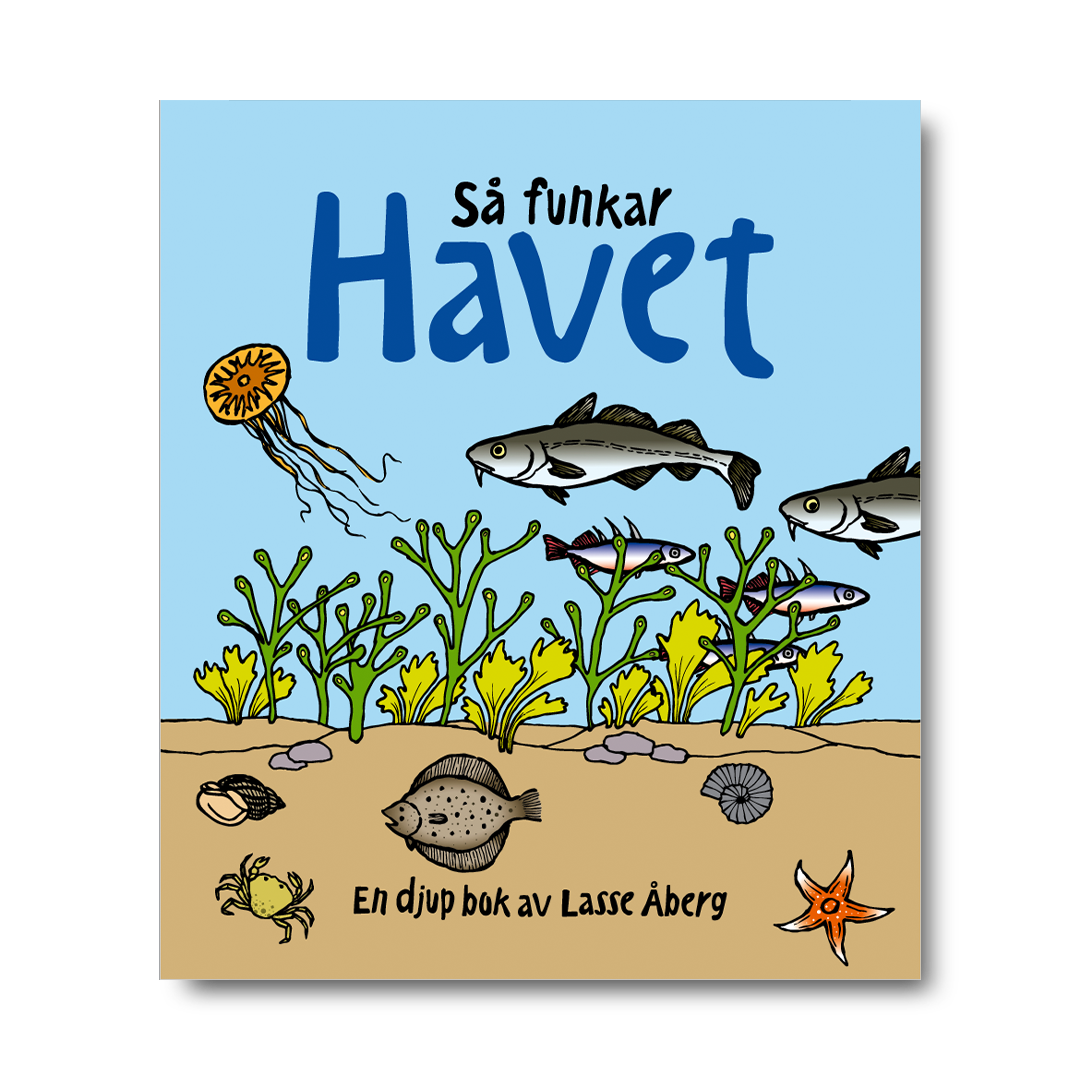 S Funkar Havet En Djup Bok Av Lasse berg Ocean Books