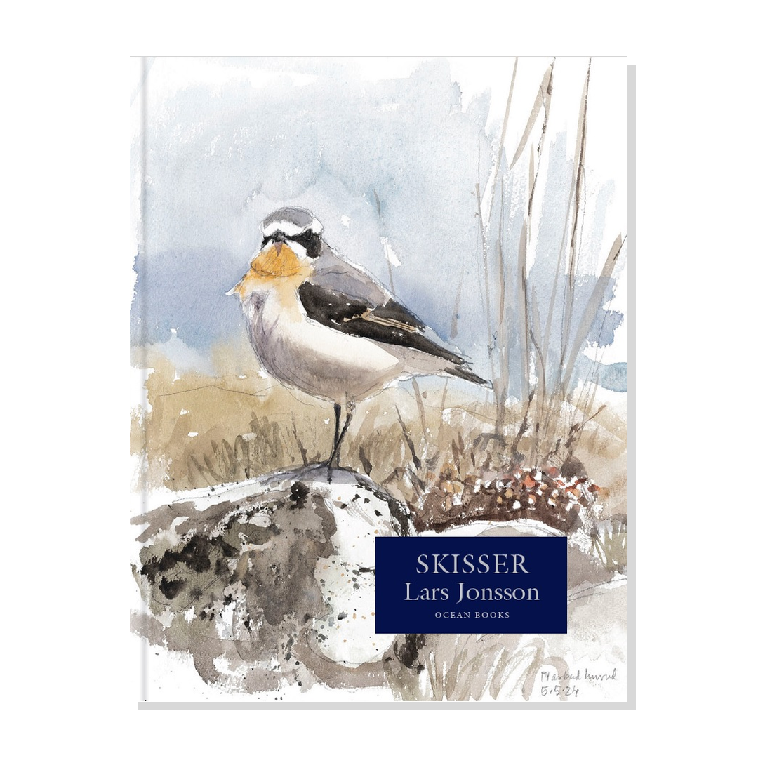Skisser